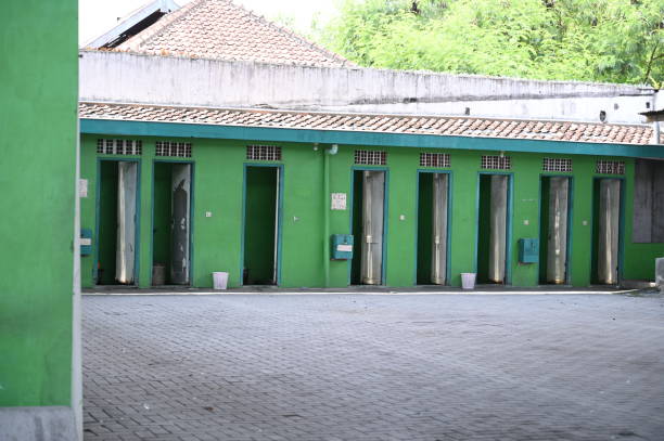Affordable portable toilet rental in Black Point Green Point, CA